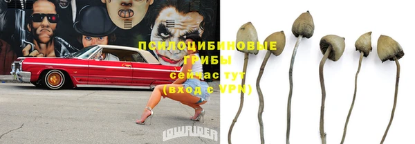 соль ск Балабаново