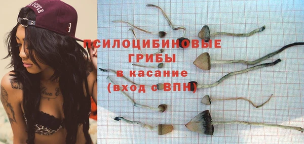 дмт Баксан