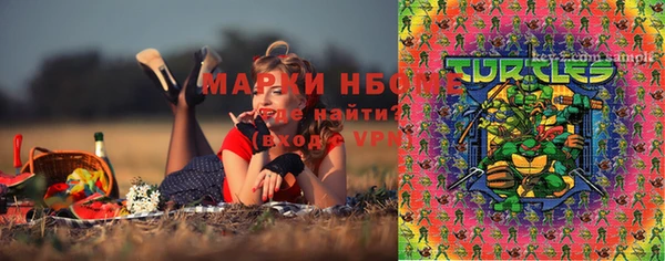 соль ск Балабаново