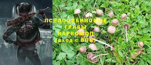 соль ск Балабаново