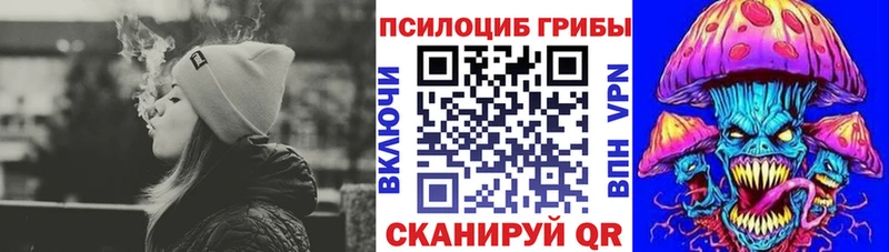 Купить  Гулькевичи  Псилоцибиновые грибы мухоморы 