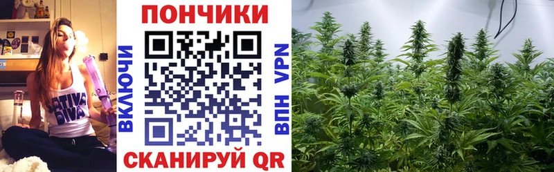 Шишки марихуана SATIVA & INDICA Гулькевичи